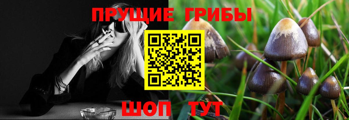 Галлюциногенные грибы Magic Shrooms  Вход с VPN  купить  сайты  Калач-на-Дону 